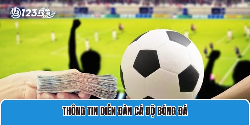 Thông tin forum cá độ bóng đá bạn cần nắm rõ