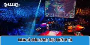 Trang Cá Cược Esport Trực Tuyến Uy Tín